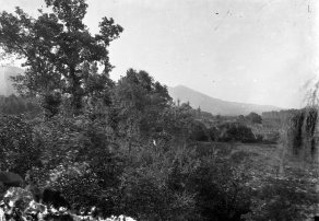 Vista parcial dels camps de can Ribes, situats entre la masia homònima i el riu Ter, a la Cellera de Ter, 1918 (ACGAX. Fons Sadurní Brunet Pi. Autor: Sadurní Brunet)