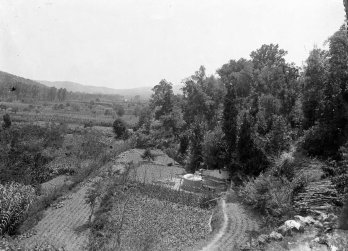 Vista parcial dels camps i dels boscos de can Ribes, a la Cellera de Ter, 1918 (ACGAX. Fons Sadurní Brunet Pi. Autor Sadurní Brunet)